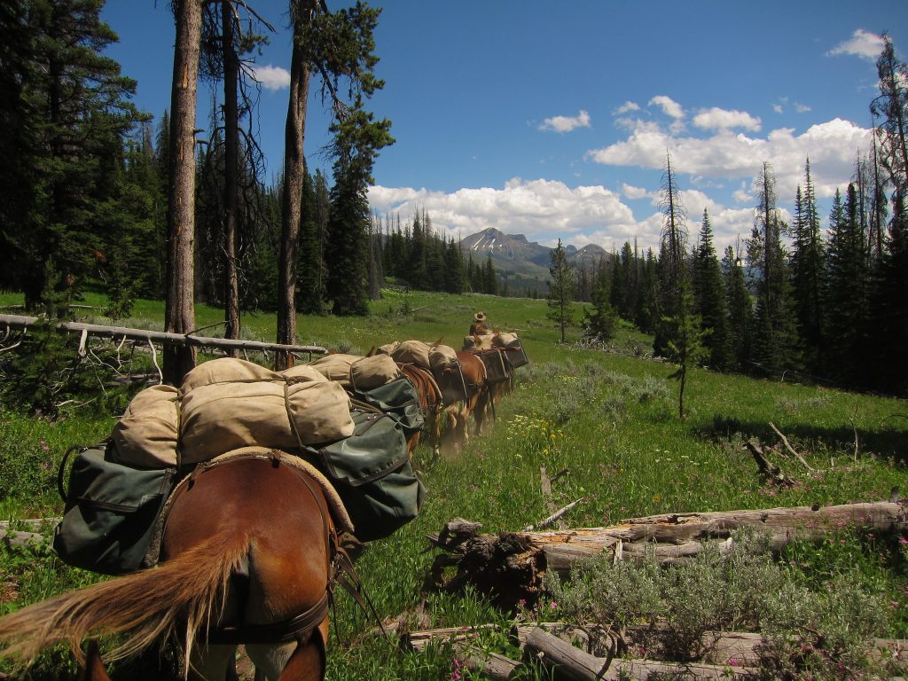 Jett Hitt and the Mules with Colter Peak